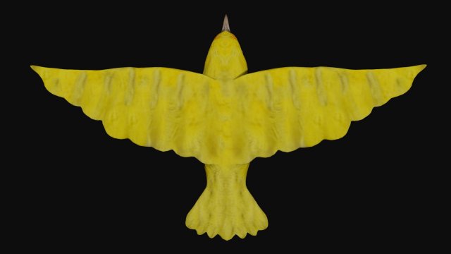 canary yellow bird 3Dモデル .c4d .max .obj .3ds .fbx .stl .blend 
