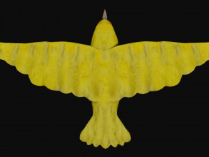 canary yellow bird 3D Model