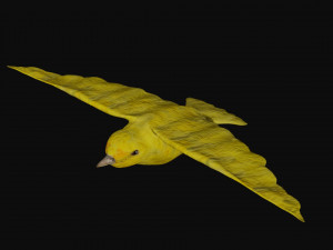 canary yellow bird 3Dモデル