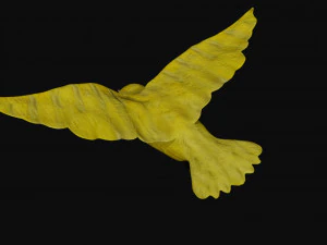 canary yellow bird 3D Model