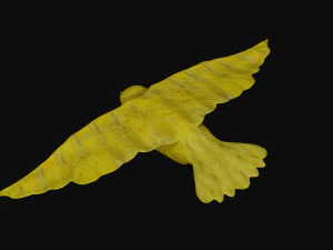 canary yellow bird 3D Model