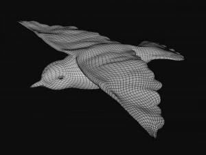 canary yellow bird 3D Model