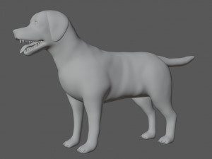 labrador dog 3D मॉडल