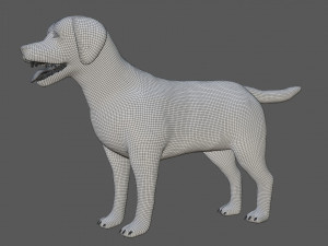 labrador dog 3D मॉडल