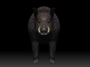 boar Model 3D