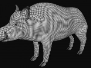 boar Model 3D