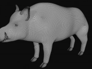 boar 3D Model