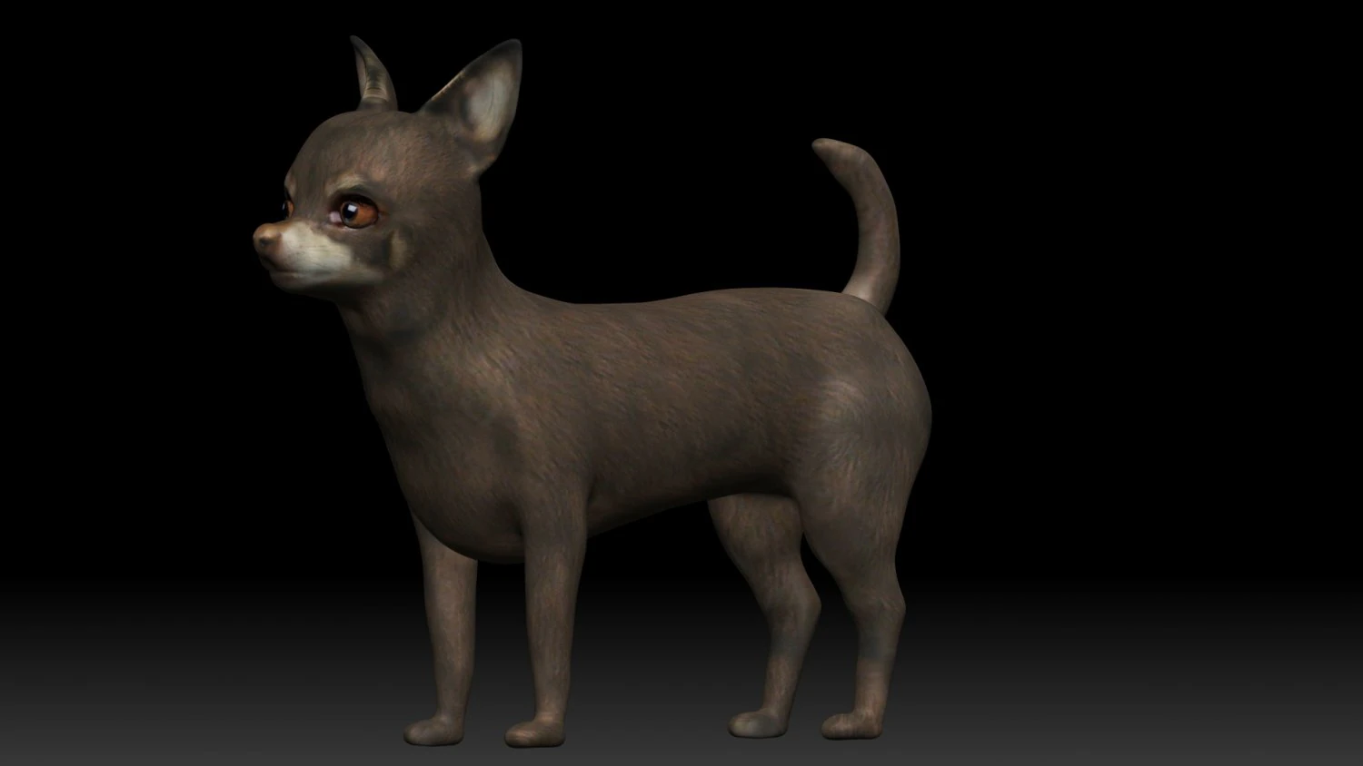 chihuahua dog 3D Model .c4d .max .obj .3ds .fbx .stl .blend 