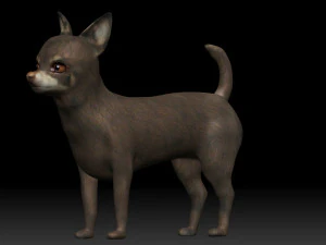 cane chihuahua Modello 3D