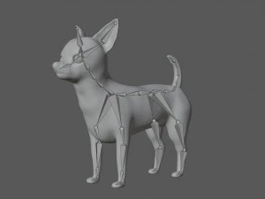 chihuahua dog 3D Model