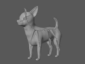 chihuahua dog 3D Модель
