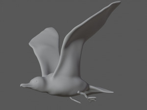 seagull Modèle 3D