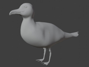seagull Modèle 3D