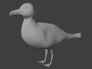 seagull 3D Model