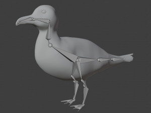 seagull Modèle 3D
