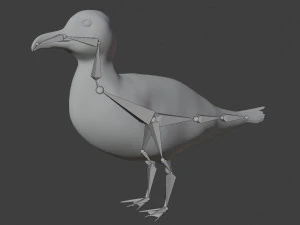 seagull 3D Model