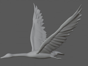 swan bird 3D 모델