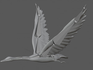 swan bird 3D 모델