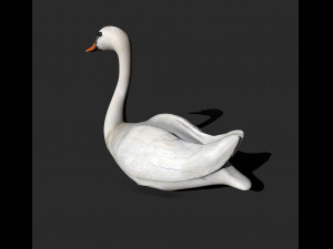 swan bird 3D 모델