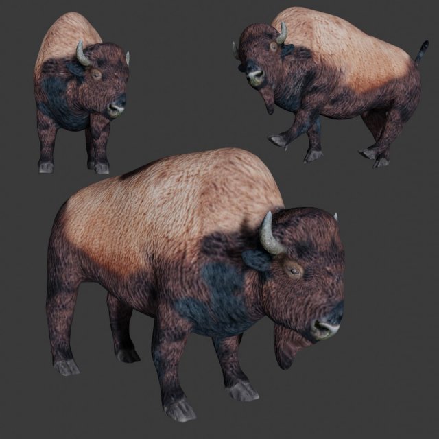 bison Model 3D .c4d .max .obj .3ds .fbx .stl .blend 