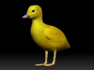 duckling Model 3D