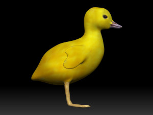 duckling 3D 模型