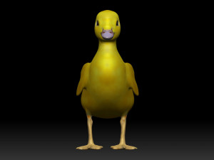 duckling 3D 模型