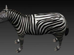 zebra 3D Model