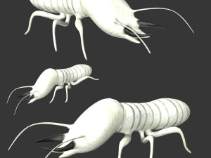termite soldier Model 3D