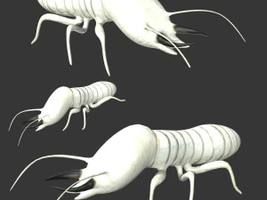 żołnierz termitów Model 3D