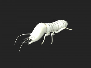termite soldier 3D 模型