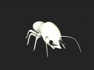 termite soldier 3D 模型