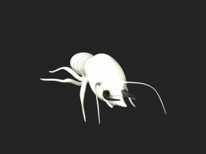 termite soldier 3D 模型