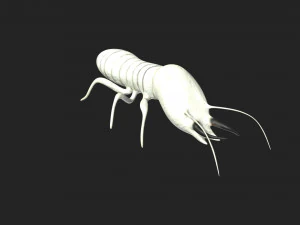 termite soldier 3D Model