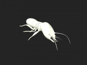 termite soldier 3D Model