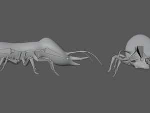 termite soldier 3D Model