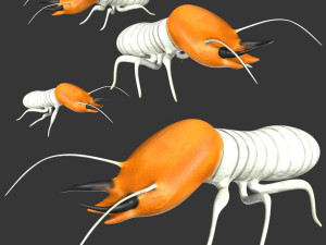 termite soldier 3D Модель