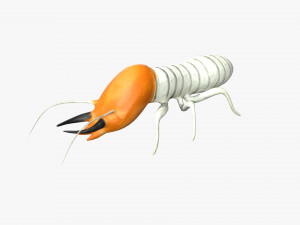 termite soldier Model 3D