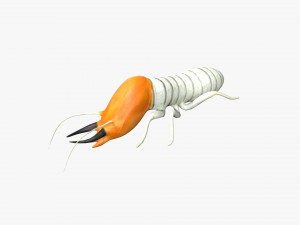 termite soldier Model 3D