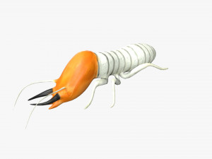 termite soldier Model 3D