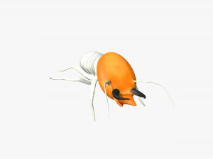 シロアリの兵士 3Dモデル