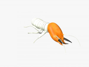 termite soldier Model 3D