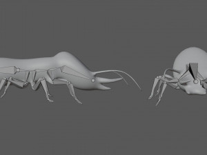 termite soldier Model 3D