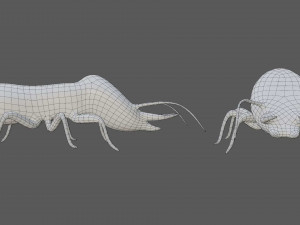 termite soldier Model 3D