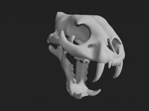 tiger skull Modello 3D