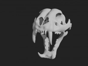 tiger skull Modello 3D