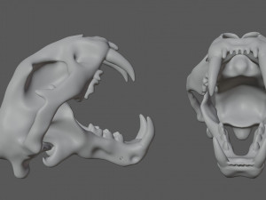 tiger skull Modello 3D