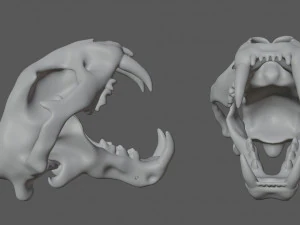 czaszka tygrysa Model 3D