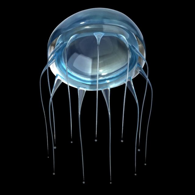 jelly fish jellyfish Modello 3D .c4d .max .obj .3ds .fbx .stl .blend 