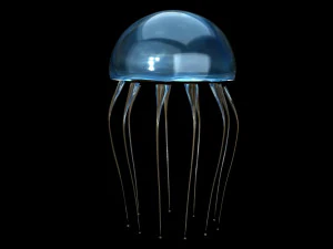 jelly fish jellyfish 3D Model